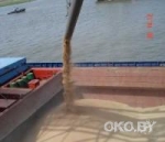 Украина сбрасывает зерно в Черное море Украина сбрасывает зерно в Черное море