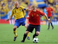 На Евро 2008 будет новый чемпион, может Россия? На Евро 2008 будет новый чемпион, может Россия?