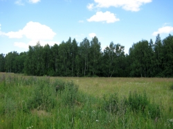 Новые ставки земельного налога и арендной платы за землю установлены с 1-го июля  Новые ставки земельного налога и арендной платы за землю установлены с 1-го июля