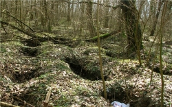 Мужчина в Гомельской области подорвался на снаряде времен ВОВ Мужчина в Гомельской области подорвался на снаряде времен ВОВ