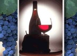 Только 24 импортера получили право ввозить алкоголь в Беларусь Только 24 импортера получили право ввозить алкоголь в Беларусь