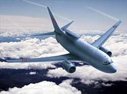 Пилоты Boeing-737, разбившегося в Перми, пользовались «фальшивыми» правами  Пилоты Boeing-737, разбившегося в Перми, пользовались «фальшивыми» правами
