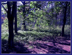 В Гомельской области трое мужчин убили односельчанина В Гомельской области трое мужчин убили односельчанина