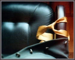 Скандалы в силовых структурах Скандалы в силовых структурах