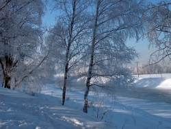 Погода на конец недели. Прогноз не радует! Погода на конец недели. Прогноз не радует!