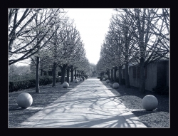 В Минске в Ботаническом саду обнаружен труп В Минске в Ботаническом саду обнаружен труп