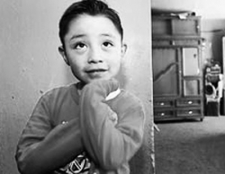 Найден первый зараженный свиным грипом и путь распространения вируса Найден первый зараженный свиным грипом и путь распространения вируса