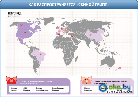 Найден первый зараженный свиным грипом и путь распространения вируса Найден первый зараженный свиным грипом и путь распространения вируса
