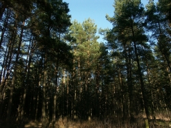 �� ���������� � ����� ����� ����������