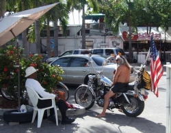 Белые жители покидают США Белые жители покидают США