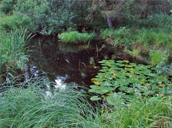 � ����������  ��������� ���� 9-��������