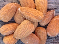 ������� ����� ������� ��� ��������