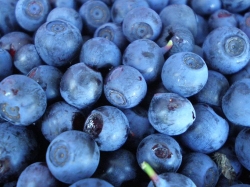 ������� ������������ ��������� ����� �� ������