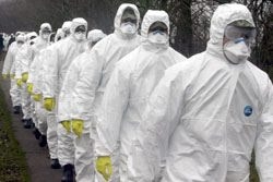 Началась пандемия гриппа A/H1N1 Началась пандемия гриппа A/H1N1