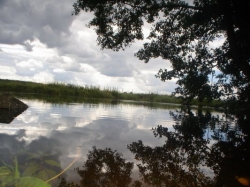 ��������� ������������� ������������� ��������� � ��������