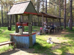 Ведро утащило женщину в колодец в Брагине Ведро утащило женщину в колодец в Брагине