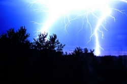 Молния ударила в телятник в гомельской области, 40 телят сгорели Молния ударила в телятник в гомельской области, 40 телят сгорели