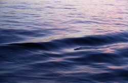 Очередное судно с нелегалами затонуло в Карибском море Очередное судно с нелегалами затонуло в Карибском море