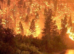 Из-за лесных пожаров в Колумбии эвакуированы пять тысяч человек Из-за лесных пожаров в Колумбии эвакуированы пять тысяч человек