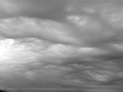 В Беларуси объявлено штормовое предупреждение  В Беларуси объявлено штормовое предупреждение