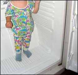 В Житомирской области в холодильнике умерли дети  В Житомирской области в холодильнике умерли дети