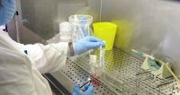      ""   /H1N1