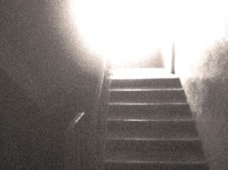 7 октября в Столинском районе погиб 2-х летний малыш 7 октября в Столинском районе погиб 2-х летний малыш