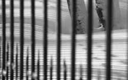 Обворован коттедж начальника отдела по борьбе с коррупцией Обворован коттедж начальника отдела по борьбе с коррупцией