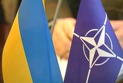 Украина не спешит в НАТО Украина не спешит в НАТО