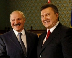 Янукович желает Лукашенко успехов на выборах Янукович желает Лукашенко успехов на выборах