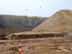 Трасса Москва-Петербург пройдет через Химкинский лес Трасса Москва-Петербург пройдет через Химкинский лес
