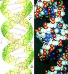 прорыв в области наномедицины прорыв в области наномедицины