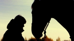 В парке 50-летия сгорела конюшня В парке 50-летия сгорела конюшня