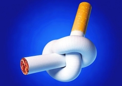 Республиканская акция «Беларусь против табака» Республиканская акция «Беларусь против табака»