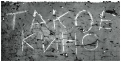 ������������� �������������� ���������