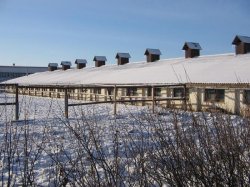 133 предприятия Беларуси будут проданы в 2012 году 133 предприятия Беларуси будут проданы в 2012 году