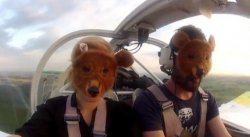 Плюшевая бомбардировка глазами организаторов Плюшевая бомбардировка глазами организаторов