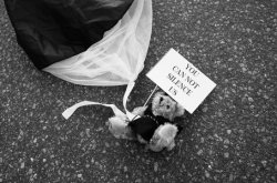 Заявление от организаторов «плюшевой»  акции Заявление от организаторов «плюшевой»  акции