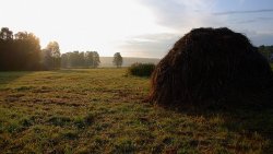 Гродненец жил в стогу соломы Гродненец жил в стогу соломы