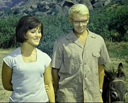 Энциклопедия советского кино Энциклопедия советского кино