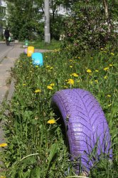 Польский болельщик благоустроил дворик в Минске Польский болельщик благоустроил дворик в Минске