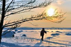 ������ ������: ������ ����������