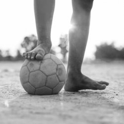 Париж учредил международную премию спортивным журналистам Париж учредил международную премию спортивным журналистам