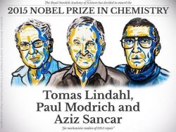 Нобелевскую премию по химии вручили за изучение ДНК