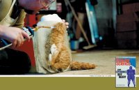 Запрещенные рекламные кампании марта.